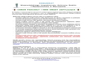 Chroń pszczoły i inne owady zapylające